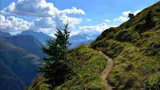 Sendero entre montañas con luz suave y paisaje natural